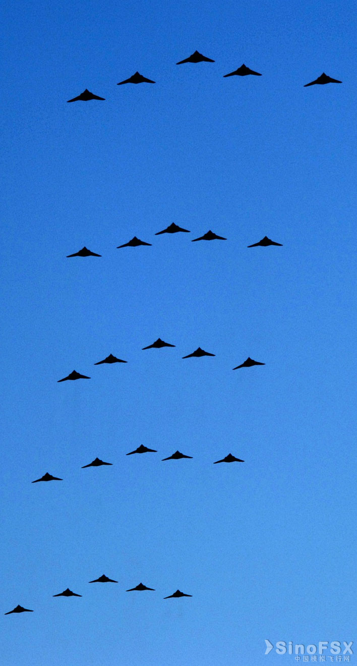 25架F-117编队飞行场面颇为壮观2.jpg