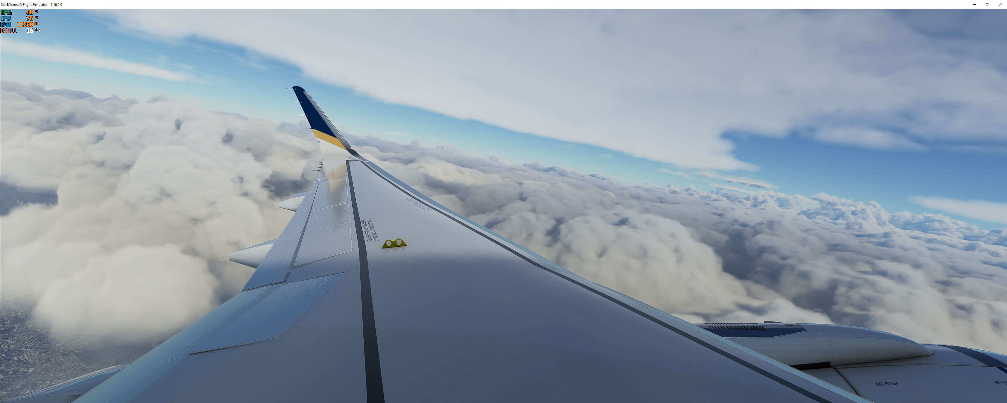 Microsoft Flight Simulator 12_06_2021 16_52_35.png