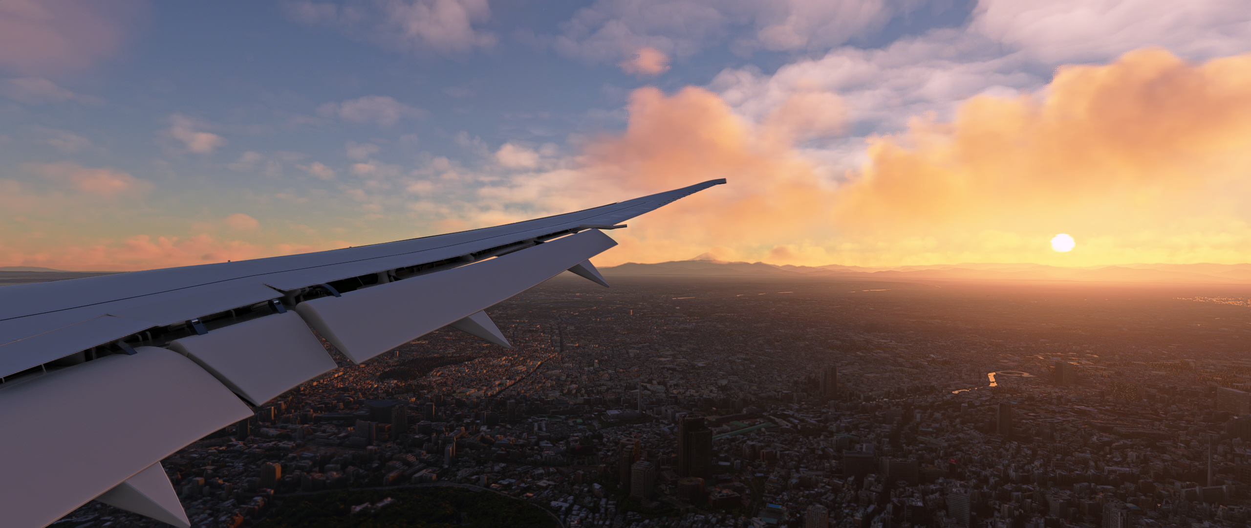 Microsoft Flight Simulator Screenshot 2023.08.28 - 17.00.00.90.png