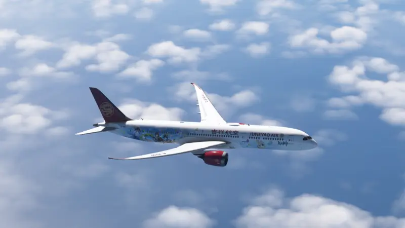 Microsoft Flight Simulator 2024_4_20 19_52_10.png