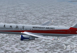 （改贴）东北航空  763 320  319  744涂装